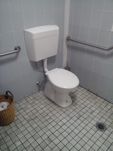 A bathroom with a toilet suite, grab rail and tiled floor