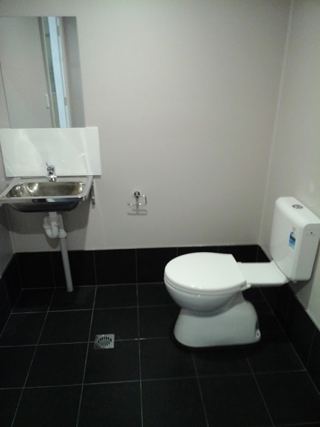 A toilet suite and wall basin in a dark-tiled bathroom